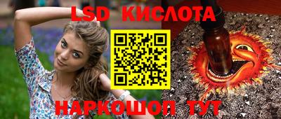 шишки Абакан