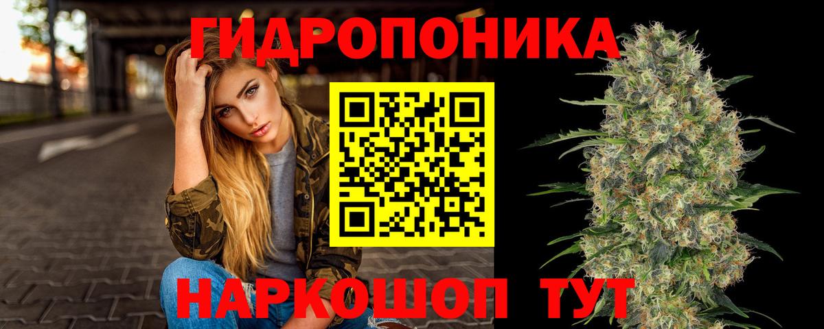 Бошки Шишки гибрид Белогорск